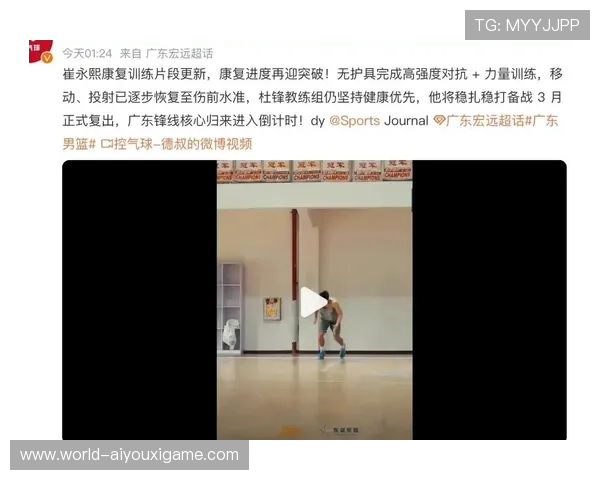 球员伤病恢复进度追踪,球队伤病情况